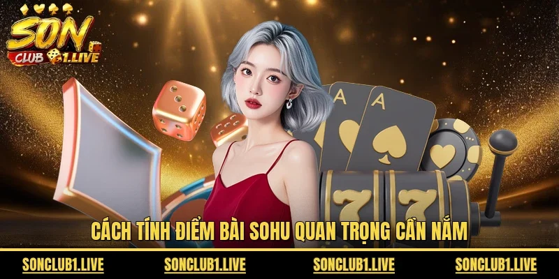 Cách tính điểm bài Sohu quan trọng cần nắm