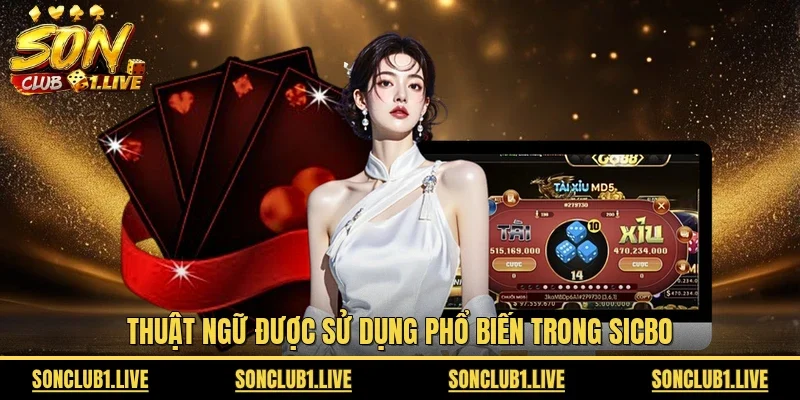 Thuật ngữ được sử dụng phổ biến trong Sicbo