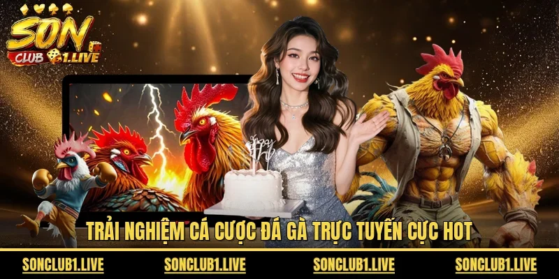 Trải nghiệm cá cược đá gà trực tuyến cực hot